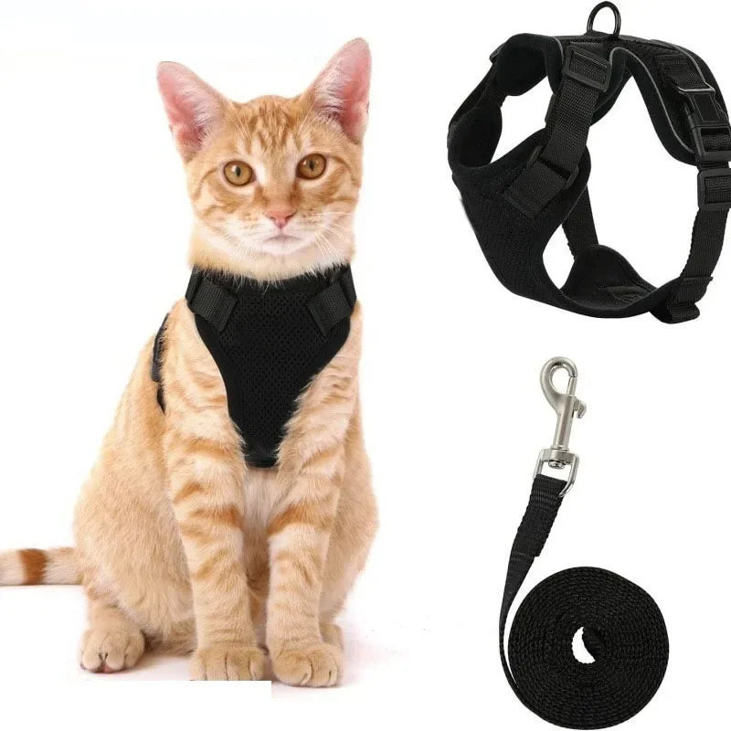 Escape proof kattenharnas met riem