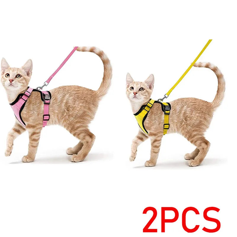 Escape proof kattenharnas met riem
