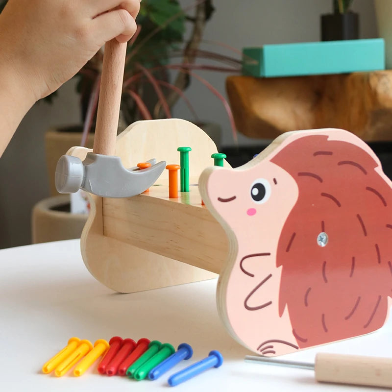 Montessori houten kleurensorteerpuzzel