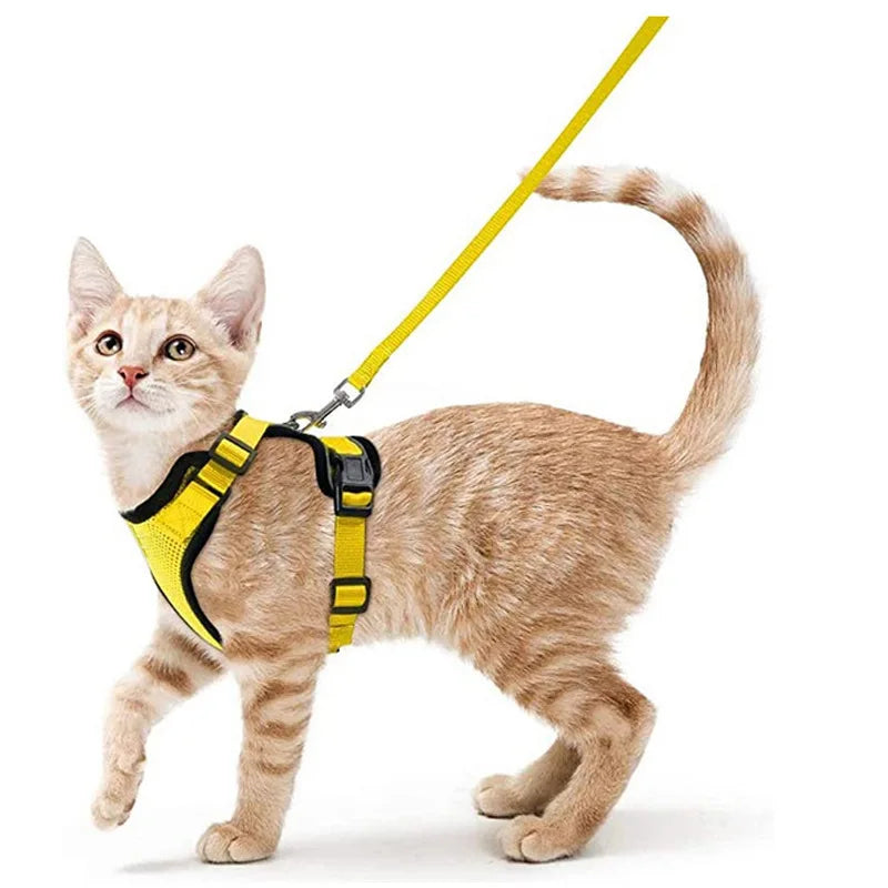 Escape proof kattenharnas met riem