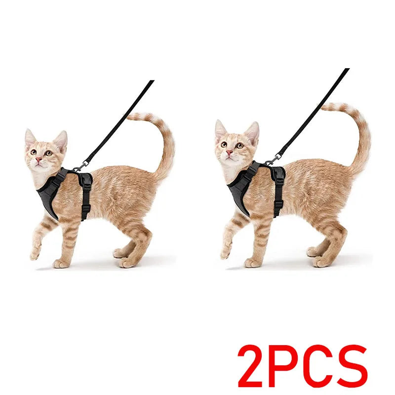 Escape proof kattenharnas met riem