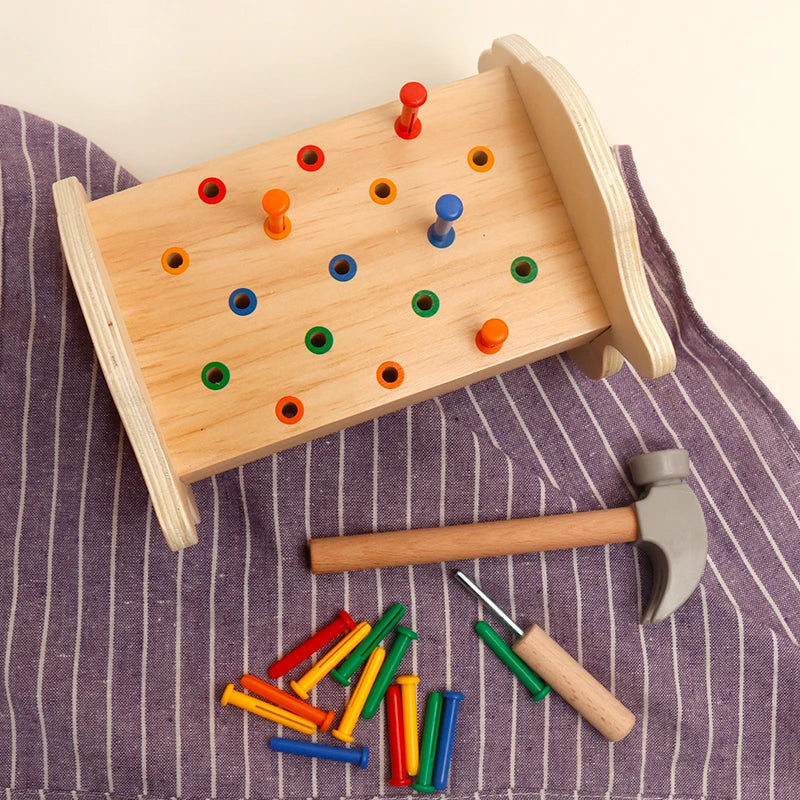 Montessori houten kleurensorteerpuzzel