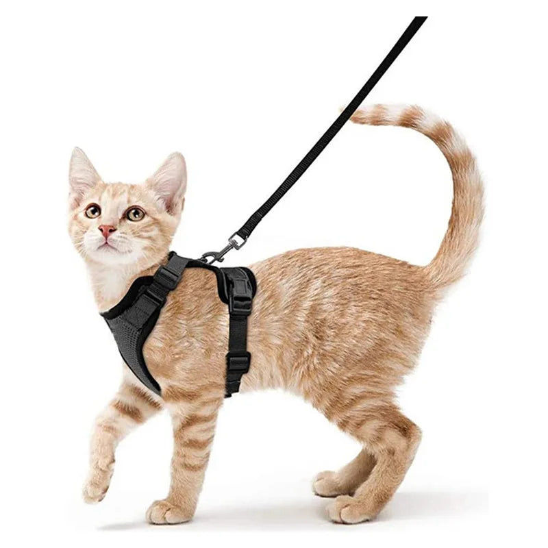 Escape proof kattenharnas met riem