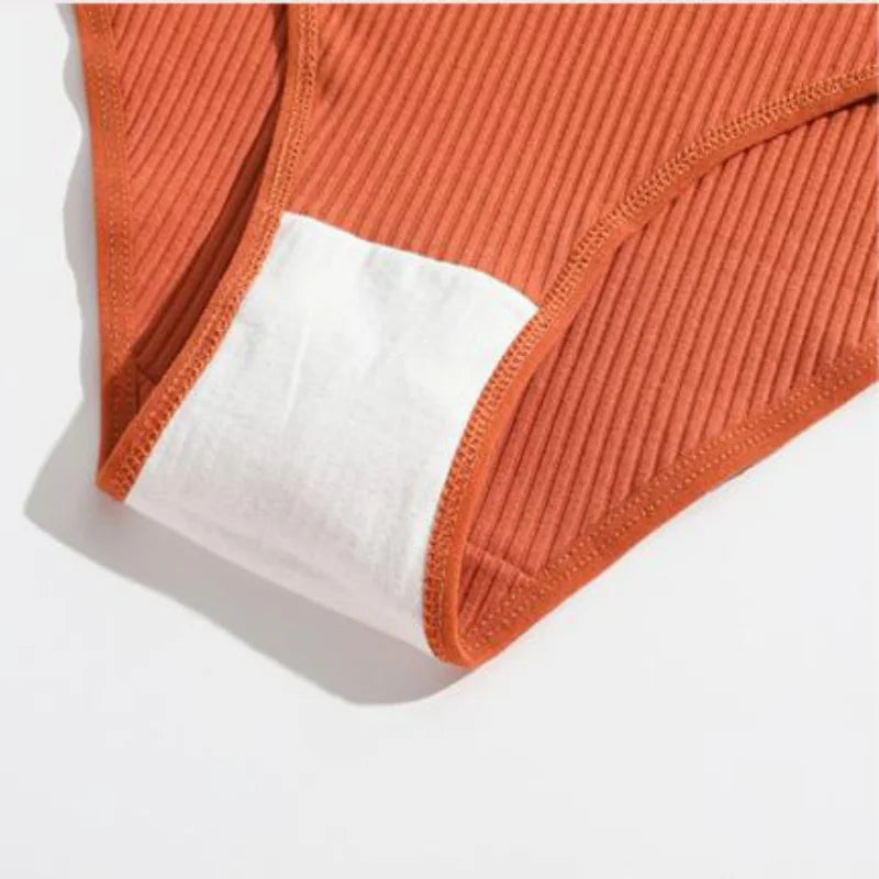 10-delige set dames slips