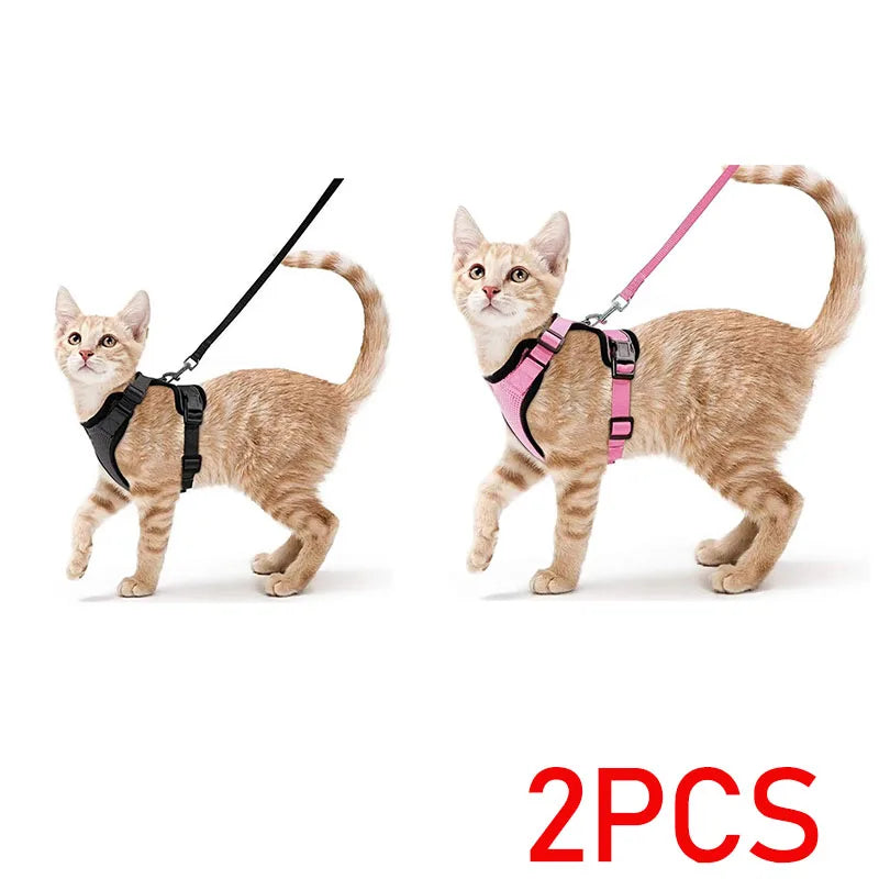 Escape proof kattenharnas met riem
